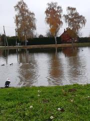 1. Hotinjski ribnik - vaška Gmajna